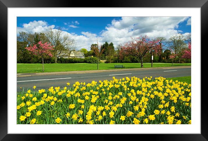 Spring Time In Cobham Surrey Framed Mounted Print by Clive Eariss