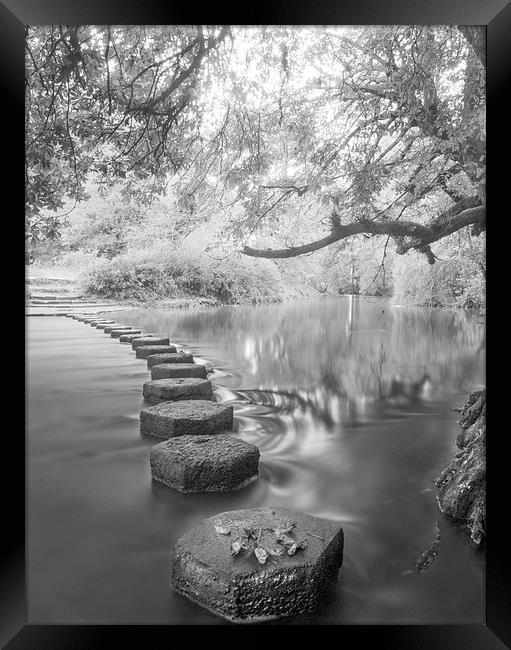 Stepping Stones Box Hill Framed Print by Clive Eariss