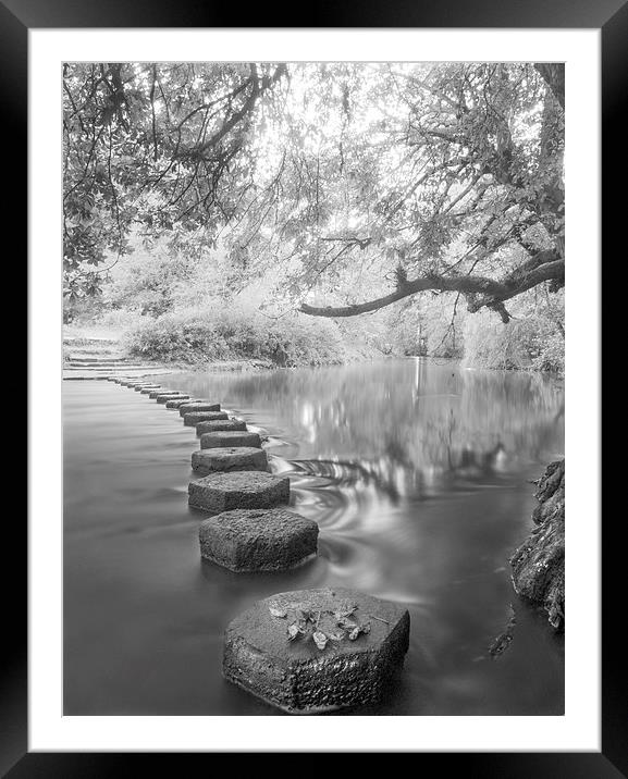 Stepping Stones Box Hill Framed Mounted Print by Clive Eariss