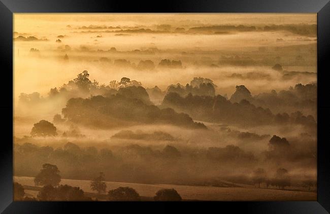  Morning Mist Box Hill Surrey Framed Print by Clive Eariss