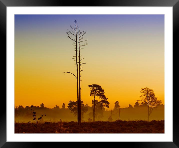  First Light Wisley Common Framed Mounted Print by Clive Eariss