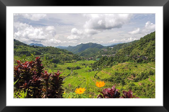  Banaue Rice Terraces Framed Mounted Print by Clive Eariss