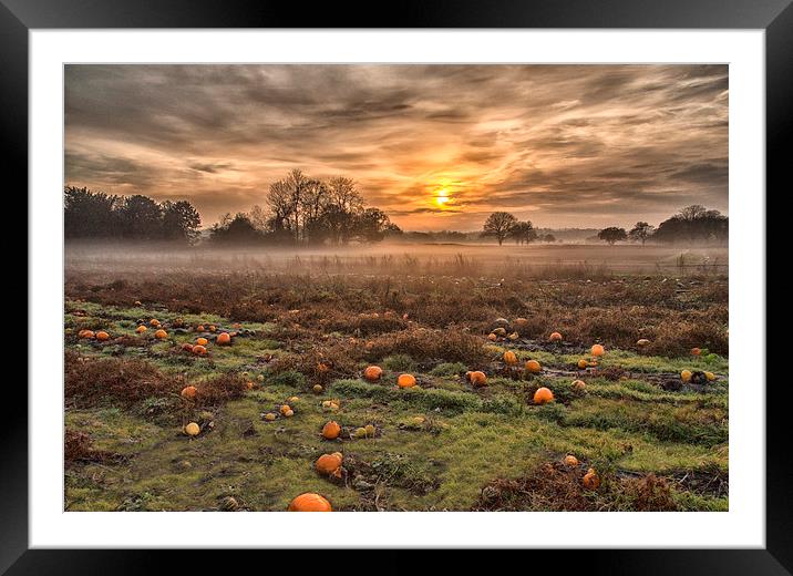  Pumpkins At Dusk Framed Mounted Print by Clive Eariss