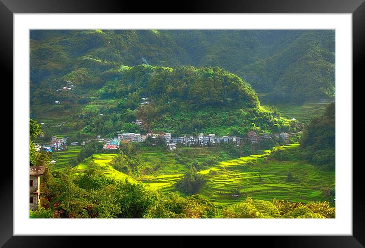  Baguio Rice Terraces Philippines  Framed Mounted Print by Clive Eariss