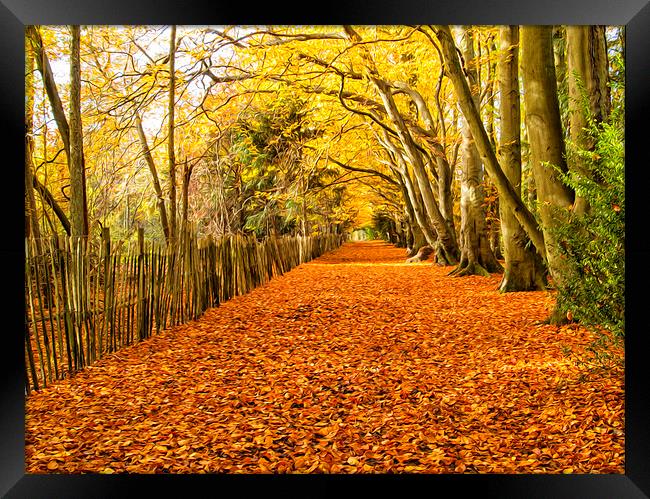  The Fall England Framed Print by Clive Eariss