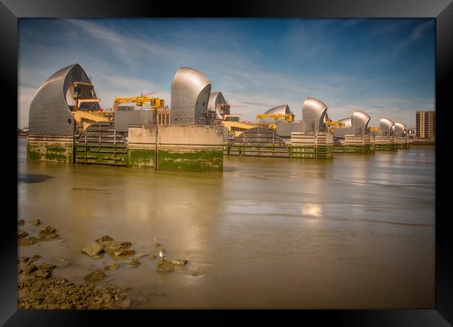 Thames Barrier And Seagull Framed Print by Clive Eariss