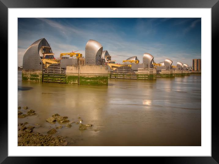Thames Barrier And Seagull Framed Mounted Print by Clive Eariss