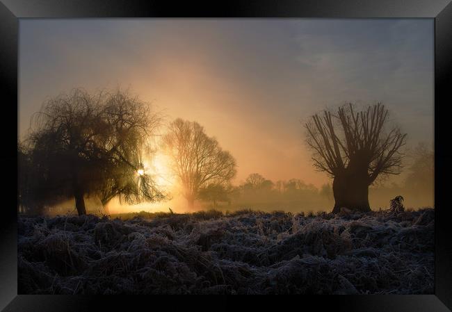 First Rays Framed Print by Clive Eariss