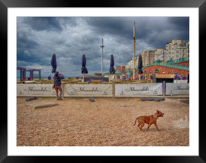 Fun On Brighton Beach Framed Mounted Print by Clive Eariss