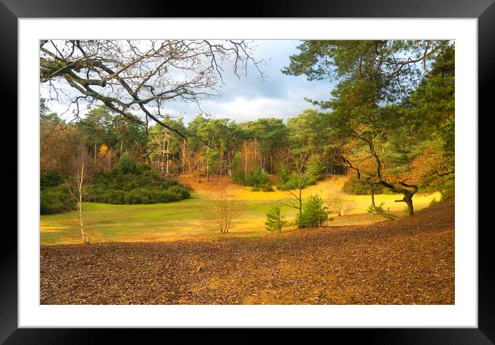 Oxshott Heath Surrey Framed Mounted Print by Clive Eariss