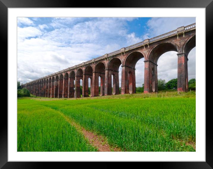 Hampstead Heath Viaduct Framed Mounted Print by Clive Eariss