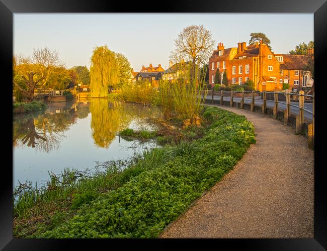River Mole Cobham Framed Print by Clive Eariss