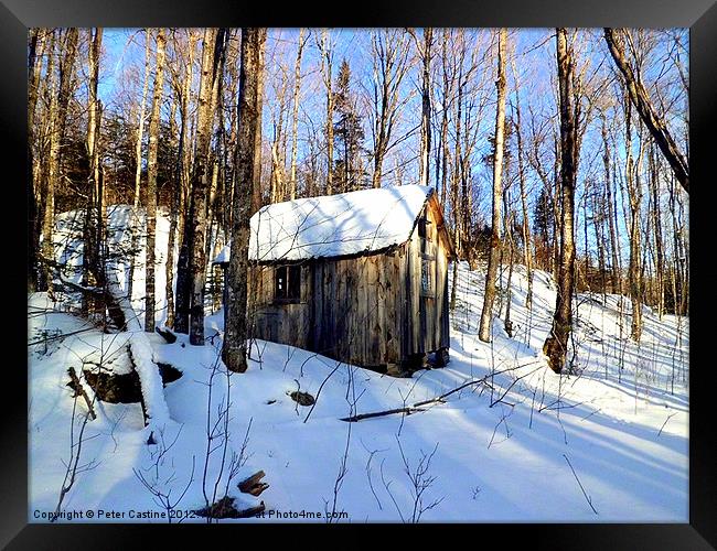 Abandoned Hunting Cabin Framed Print by Peter Castine