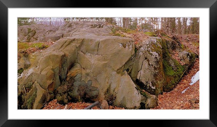 Moss Covered Ledge Framed Mounted Print by Peter Castine