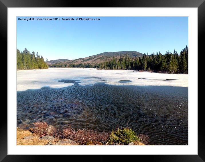 Scott's Bog Framed Mounted Print by Peter Castine