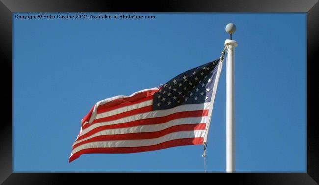 Old Glory Framed Print by Peter Castine