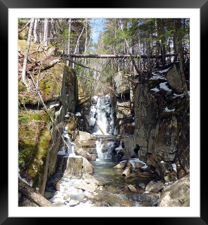 Baby Flume Dixville Notch Framed Mounted Print by Peter Castine
