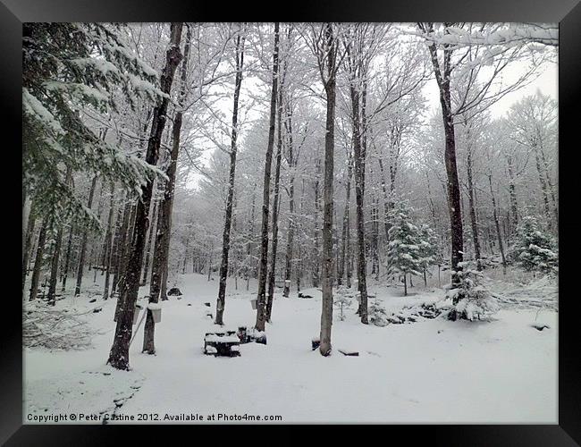 Mother Nature's April Joke Framed Print by Peter Castine