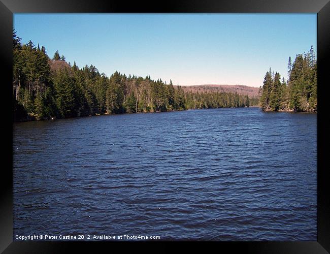 Terrill Pond Framed Print by Peter Castine