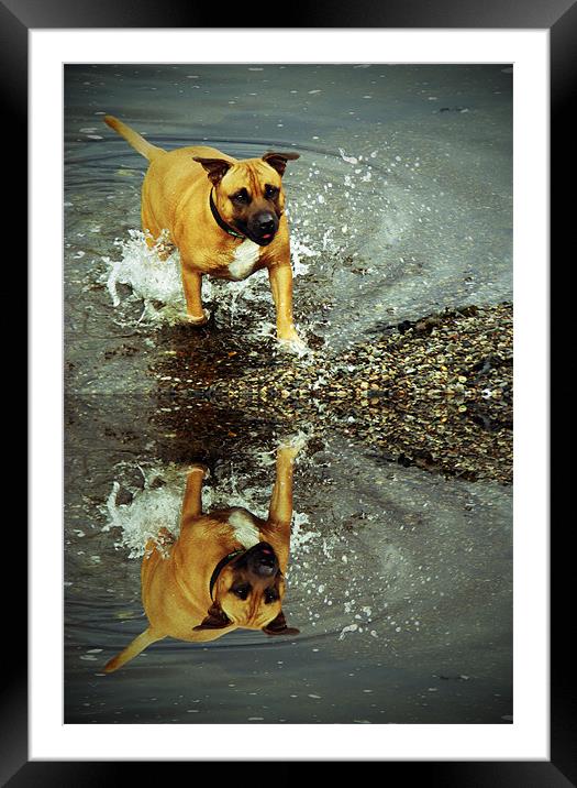 Fun at the River Framed Mounted Print by Charlotte McKay