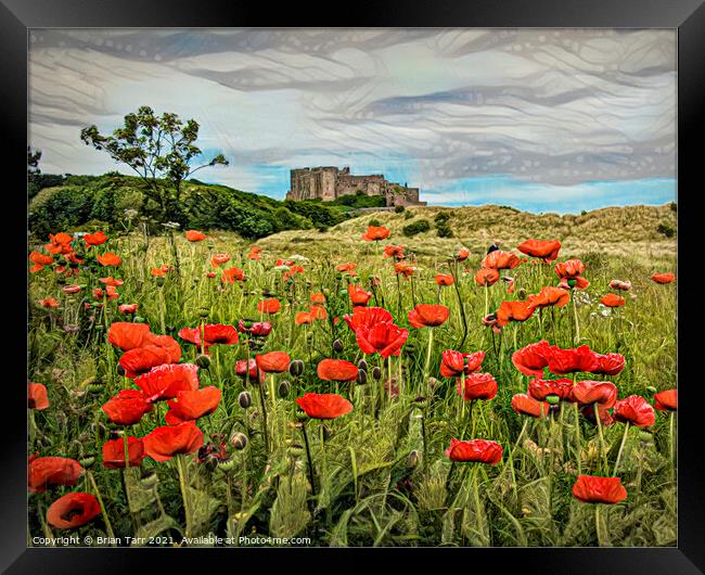 Bamburgh Poppies Framed Print by Brian Tarr