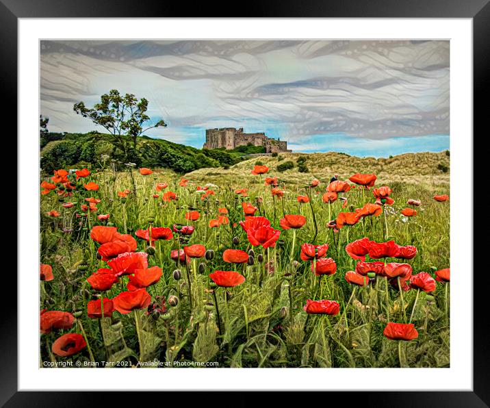 Bamburgh Poppies Framed Mounted Print by Brian Tarr