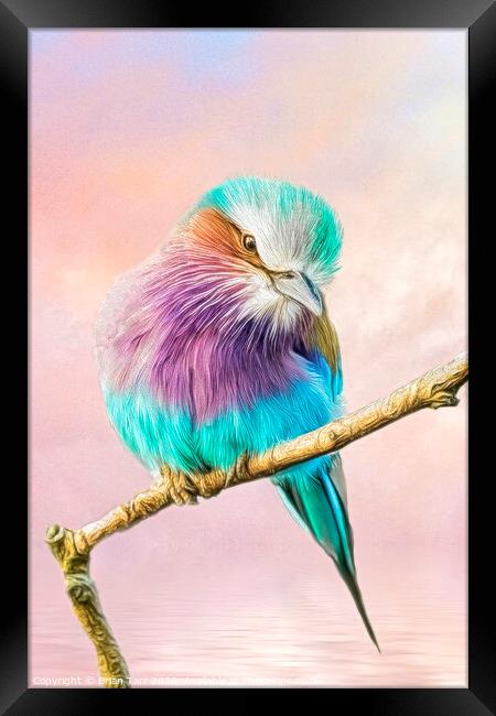 Lilac breasted roller perched on a tree branch Framed Print by Brian Tarr