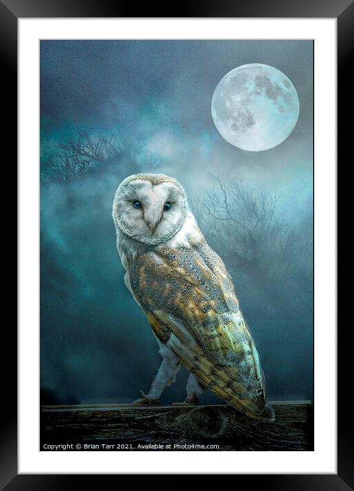 Barn Owl Moon Framed Mounted Print by Brian Tarr
