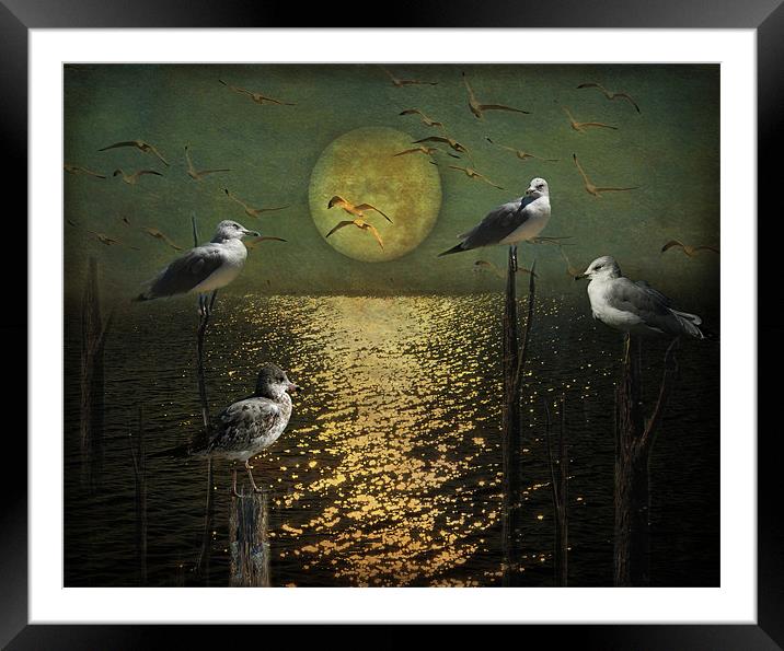 Days End Framed Mounted Print by Tina Lindsay