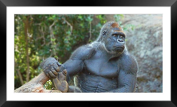 What are you looking at? Framed Mounted Print by Geoff Phillips