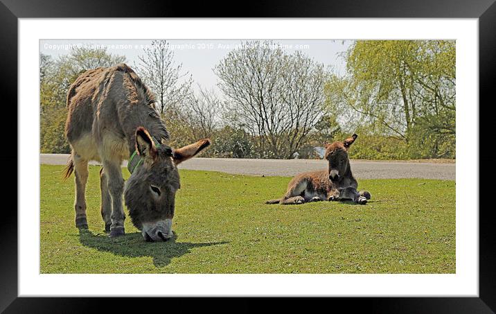  Mother and baby Framed Mounted Print by Elaine Pearson
