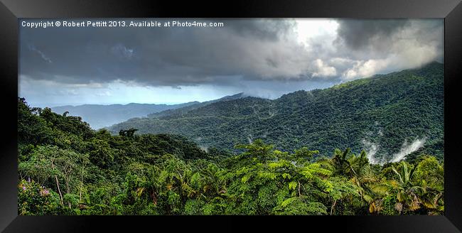 El Yunque Rain Forest Framed Print by Robert Pettitt