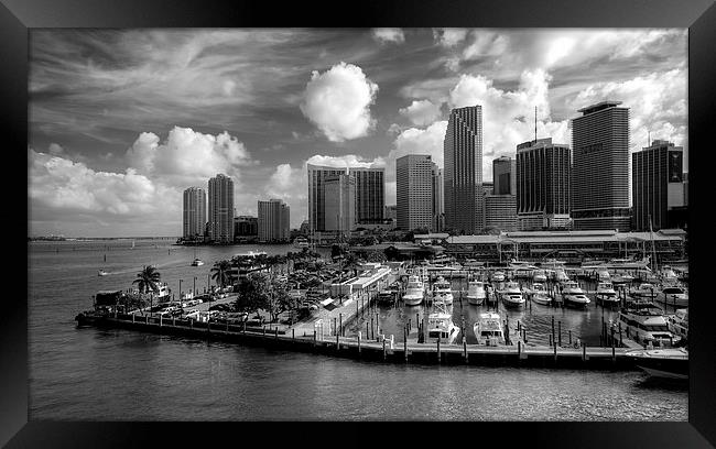 Miami Skyscrapers Framed Print by Robert Pettitt
