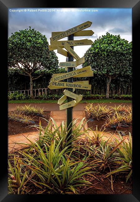 Where to Go Framed Print by Robert Pettitt