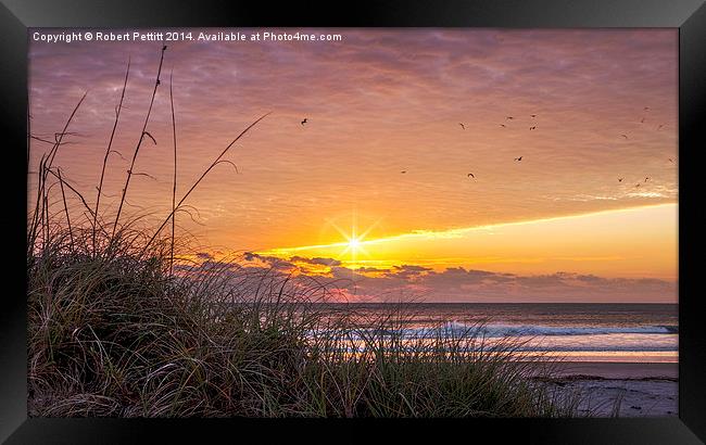 Sunrise at the Beach Framed Print by Robert Pettitt