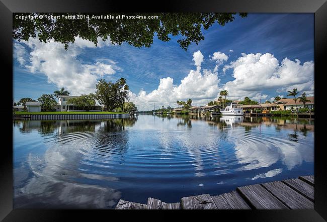  Natural Composition Framed Print by Robert Pettitt