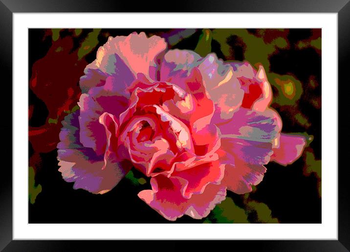 Pink flower Framed Mounted Print by Milena Barczak