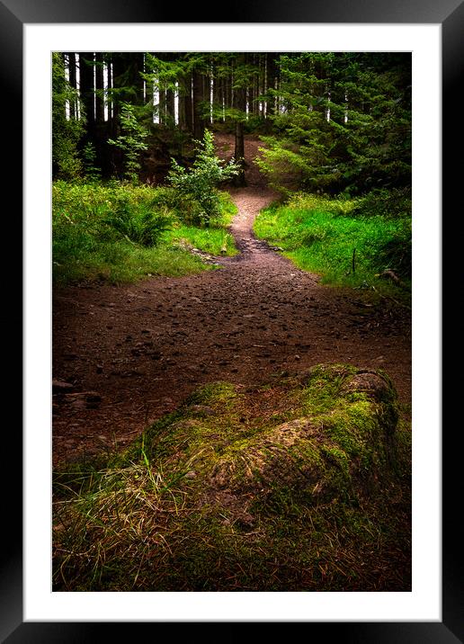 Culloden Woods Framed Mounted Print by Macrae Images