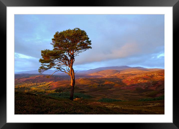 Strathglass Framed Mounted Print by Macrae Images