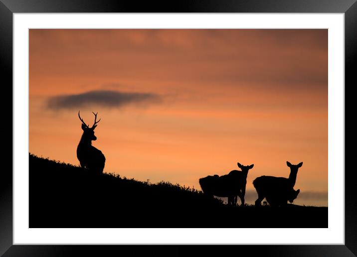 Strathglass Silhouettes Framed Mounted Print by Macrae Images
