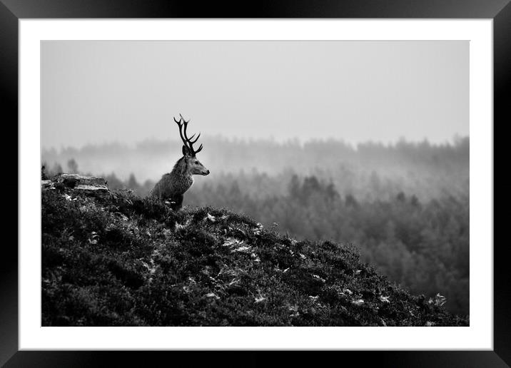 Above The Mist Framed Mounted Print by Macrae Images