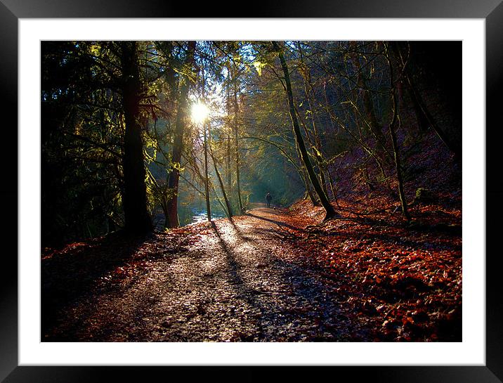 a midday stroll Framed Mounted Print by Macrae Images