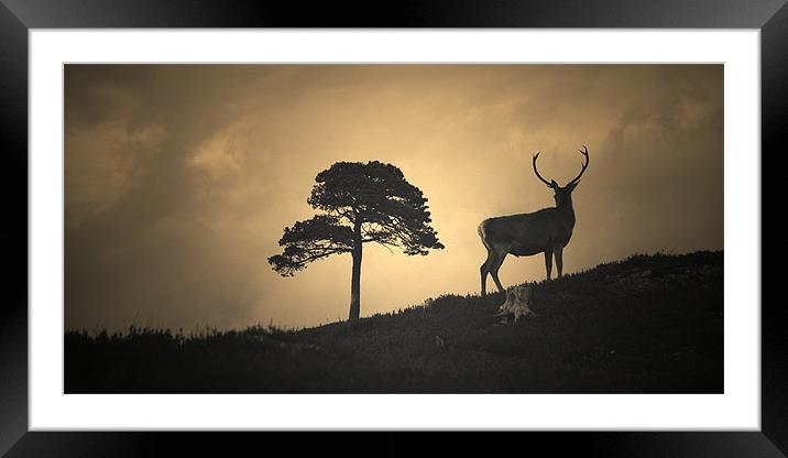 Dreaming of tomorrow Framed Mounted Print by Macrae Images