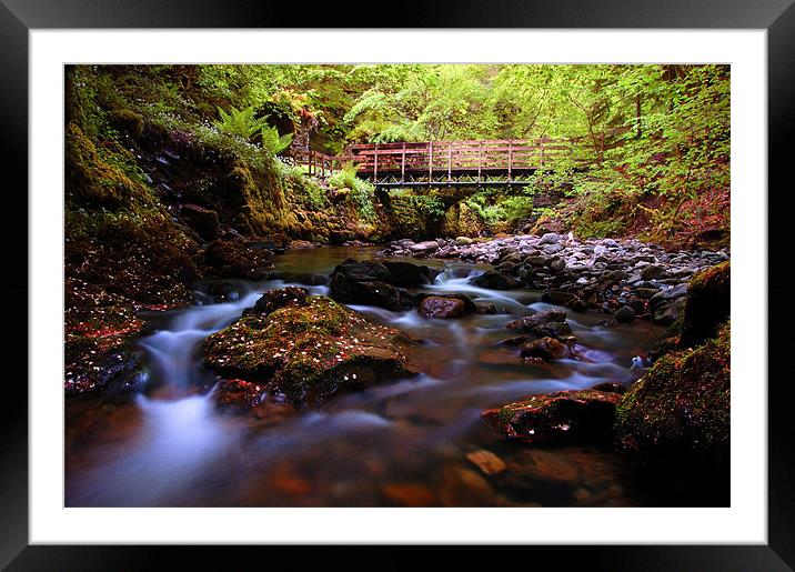 Reelig glen forest walk Framed Mounted Print by Macrae Images