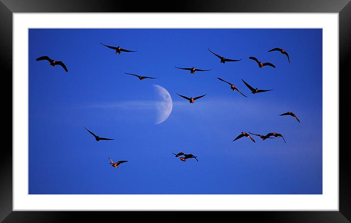 Incoming Framed Mounted Print by Macrae Images
