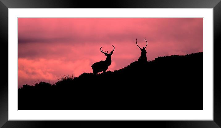 A new horizon Framed Mounted Print by Macrae Images