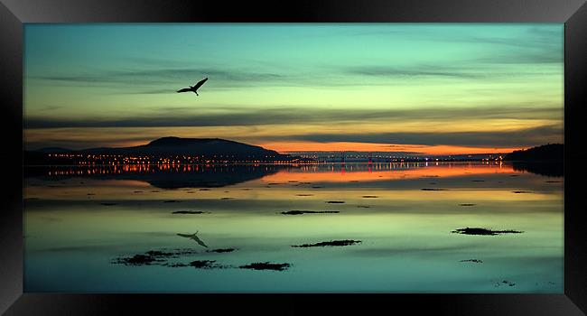 Beauly firth sunrise Framed Print by Macrae Images