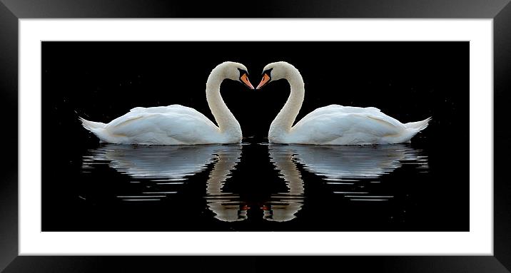 Mute reflections Framed Mounted Print by Macrae Images