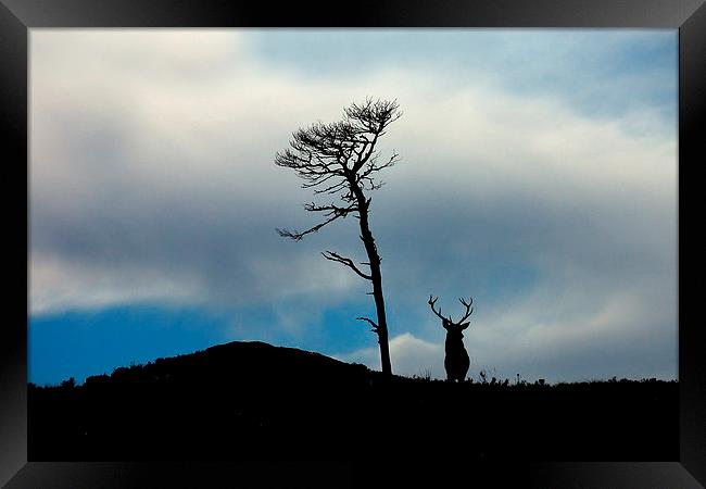 Highland silhouettes Framed Print by Macrae Images