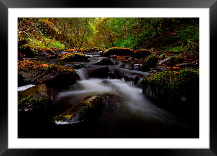 Reelig glen Framed Mounted Print by Macrae Images